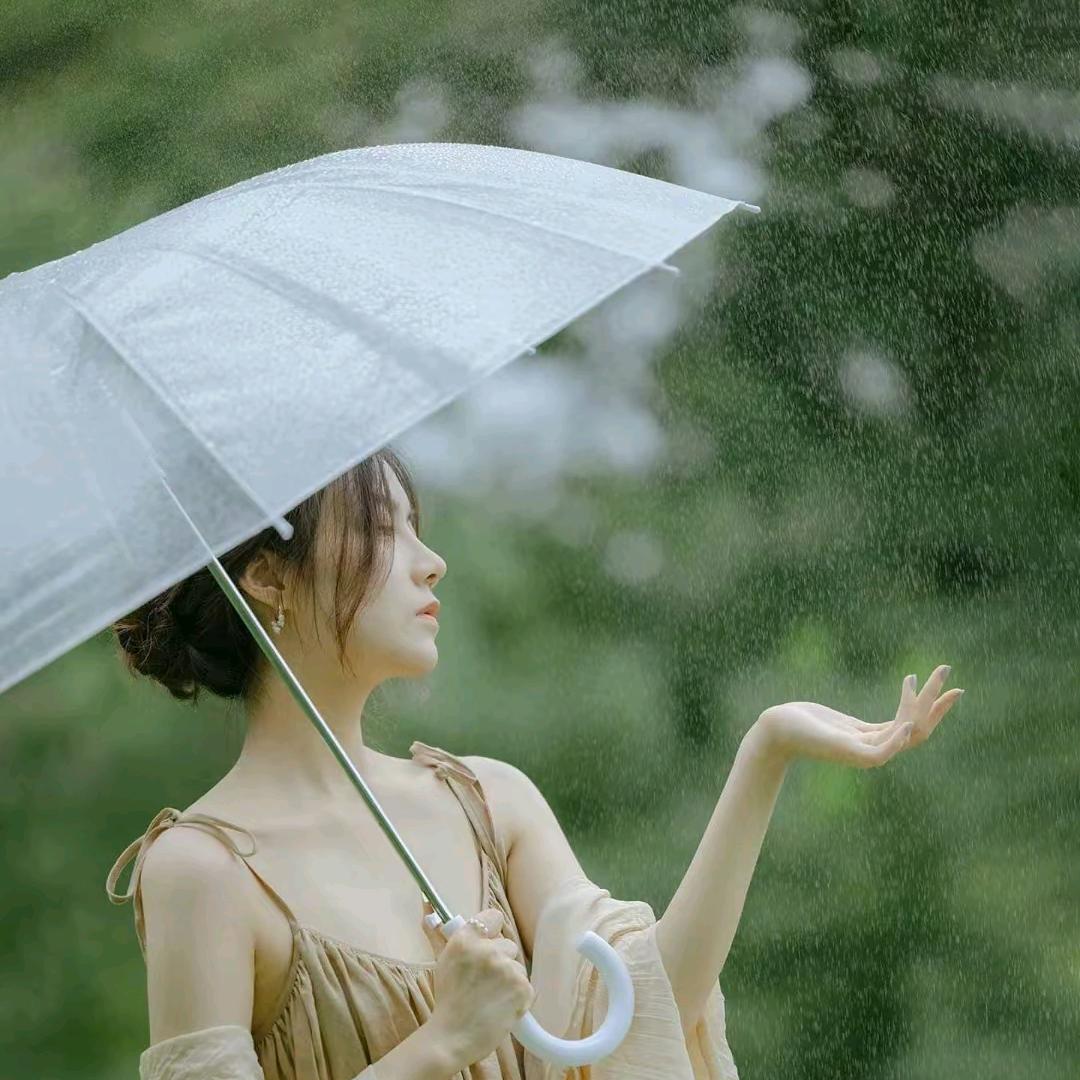 九月菊花