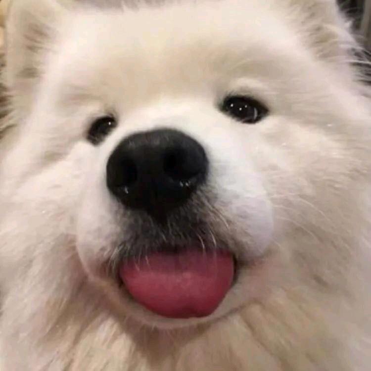 想放假