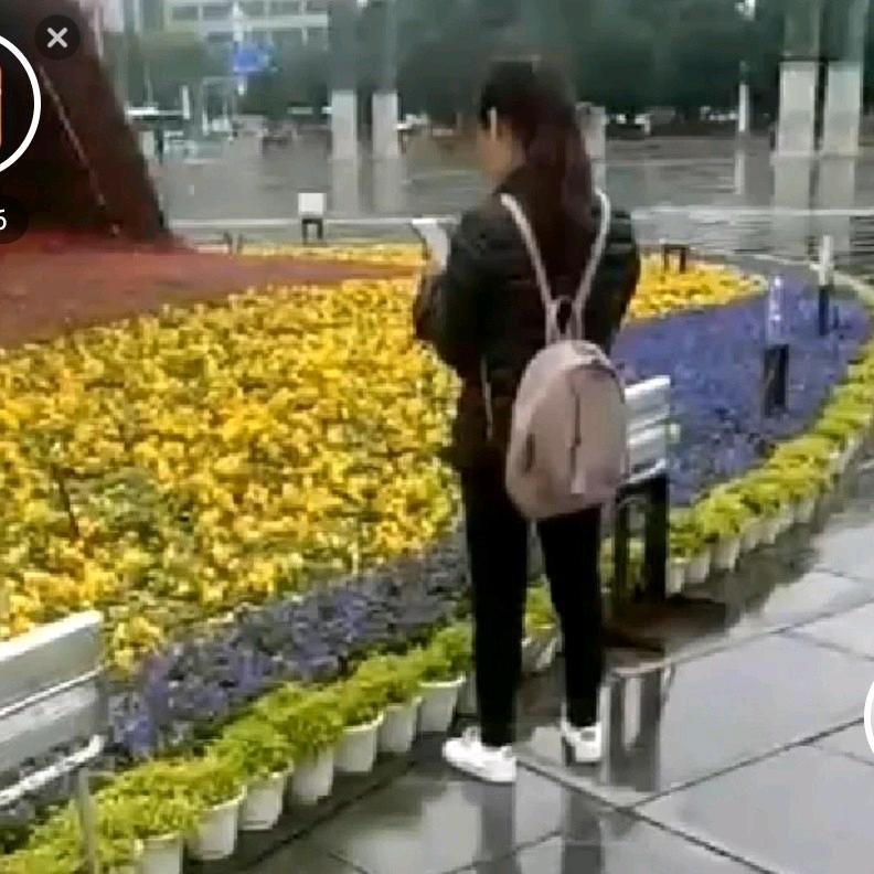 我会把这个家好好撑起的，((谢))