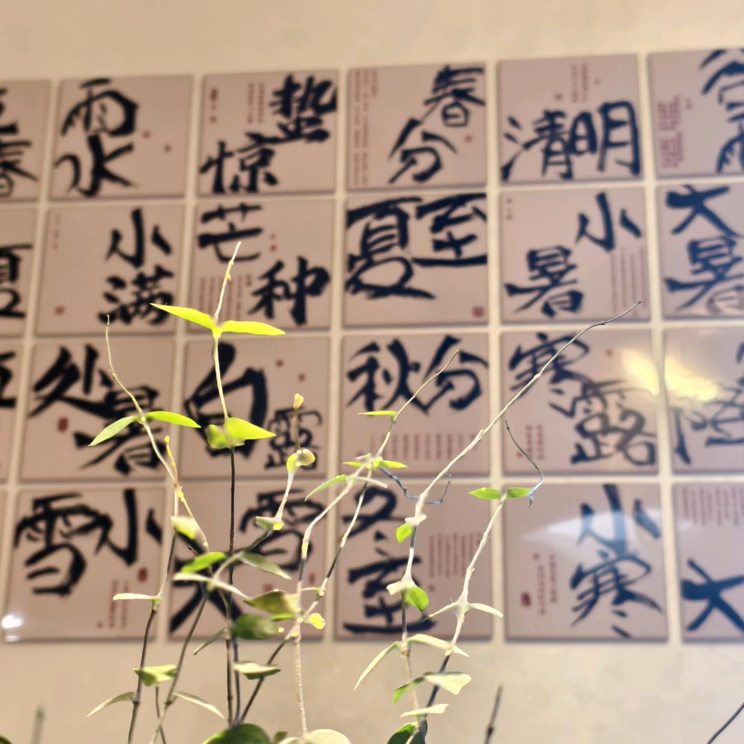 柏林百货