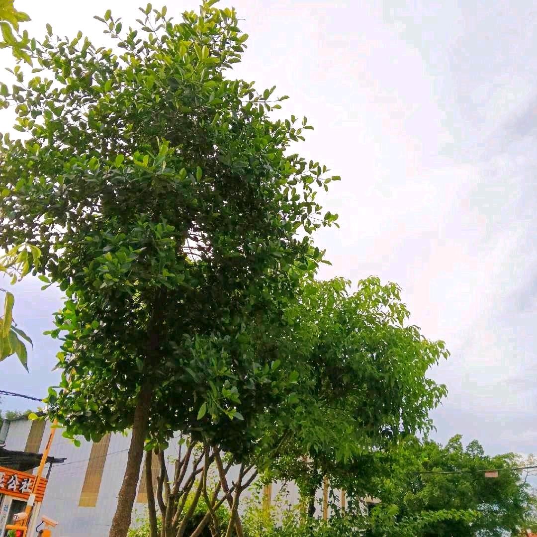 浅望时光平凡不平凡3378094403