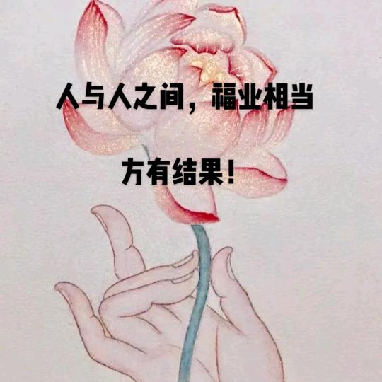 皮皮玄凤