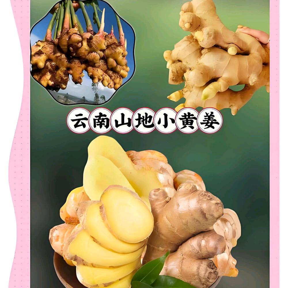 (双鱼哥)晋江市浩乐文具店