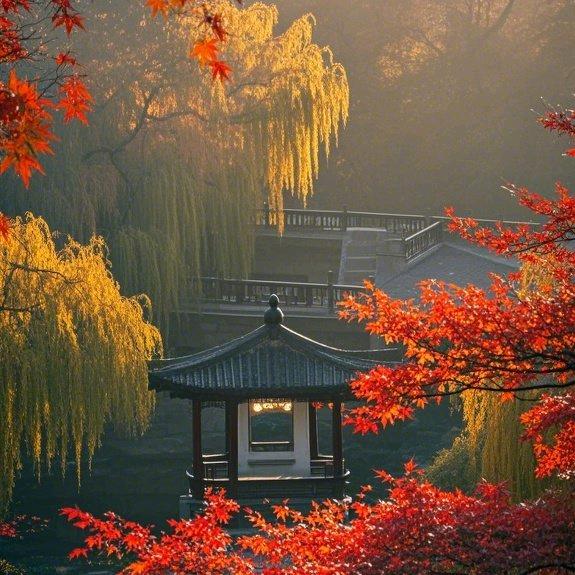 随缘而安