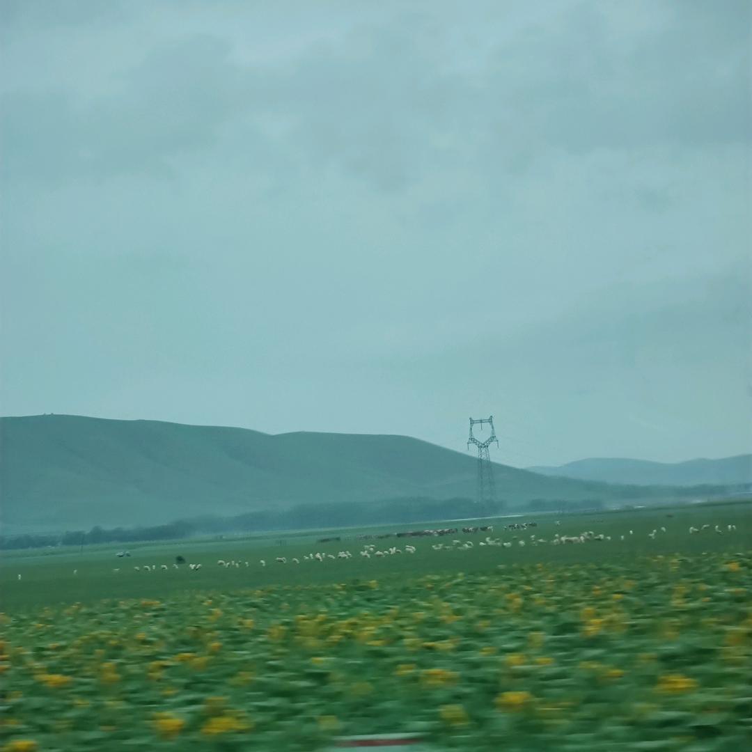 家有二宝