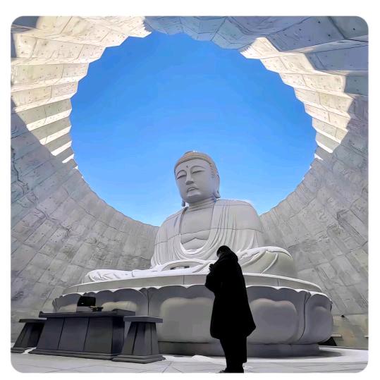 云南波比