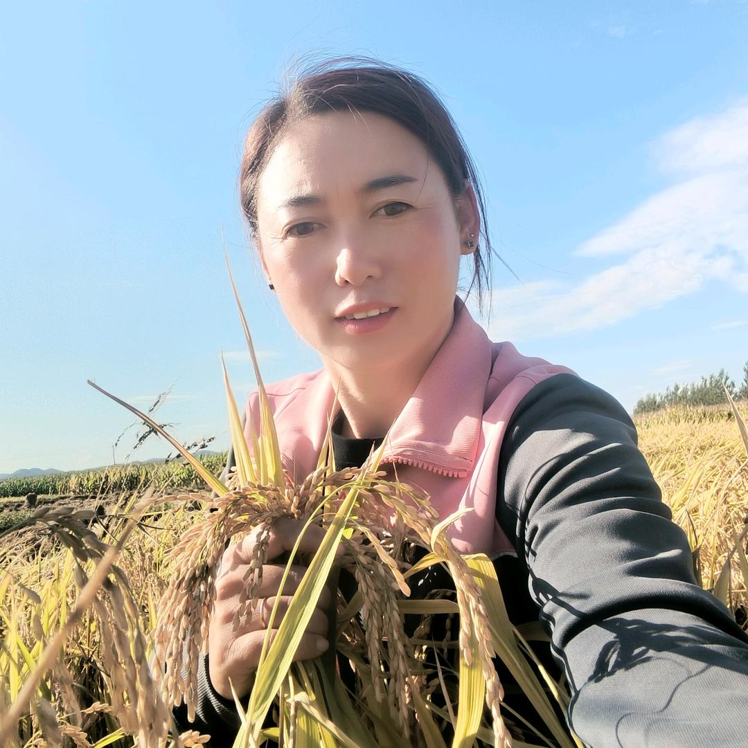 小微五常大米