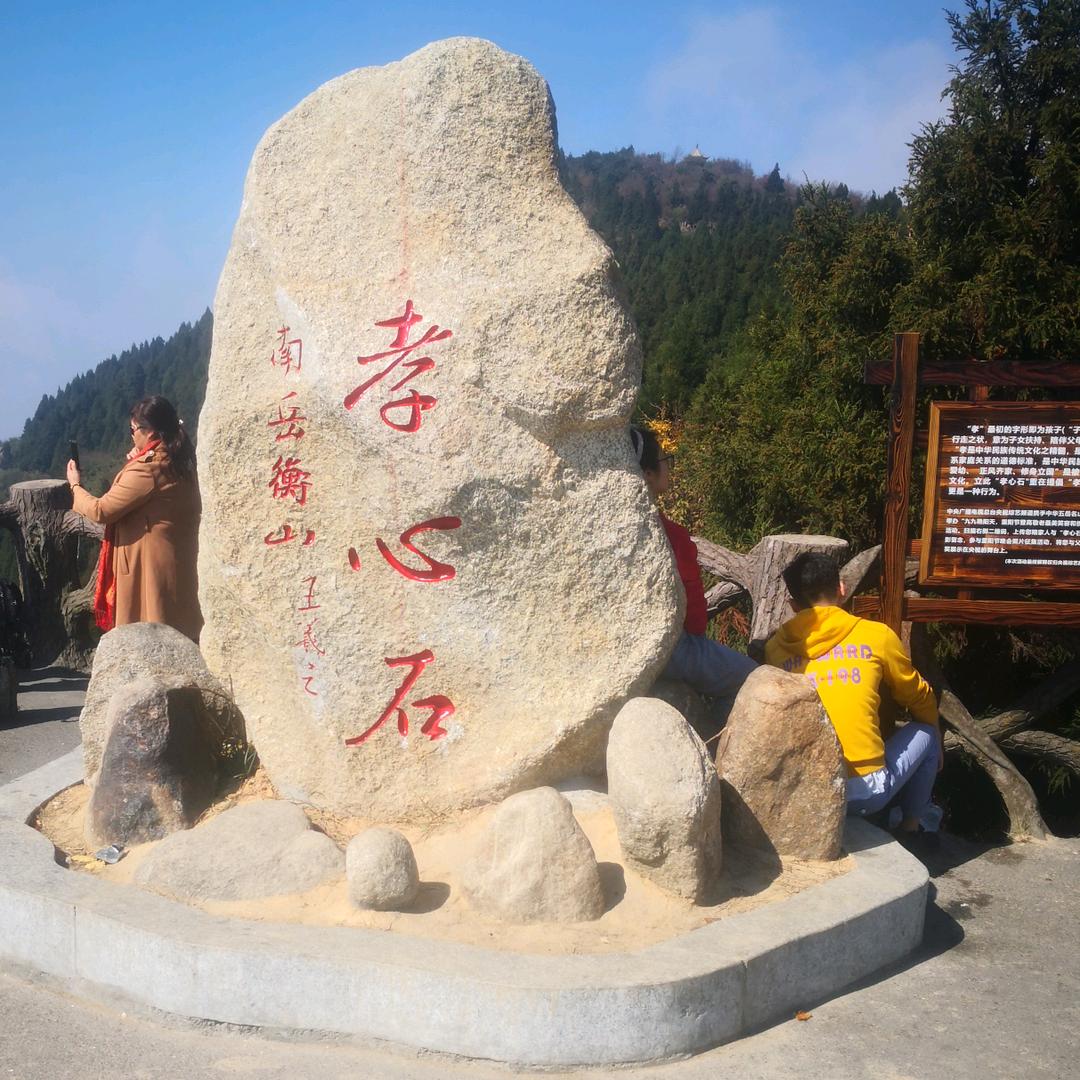 用户10438838501