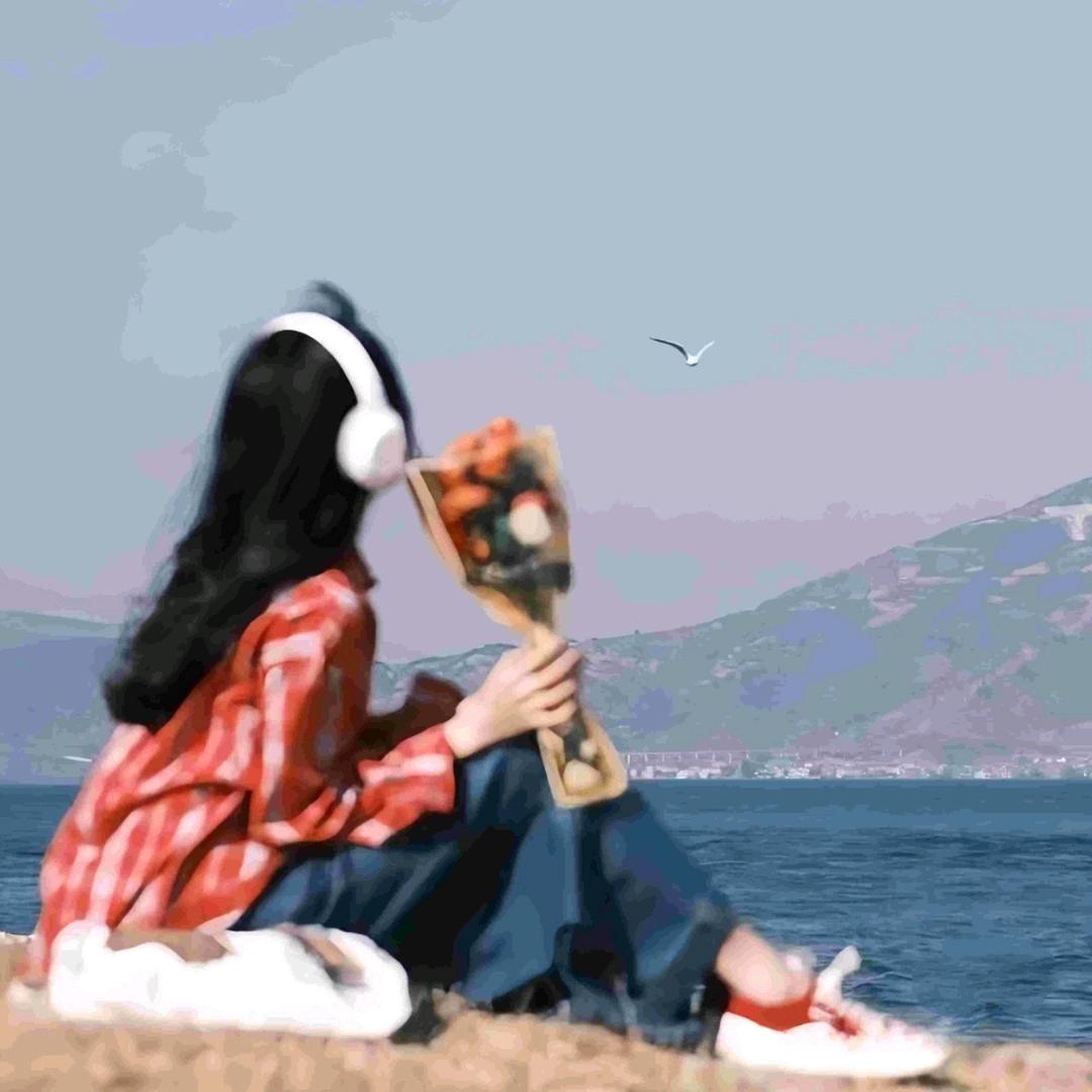 森林气泡