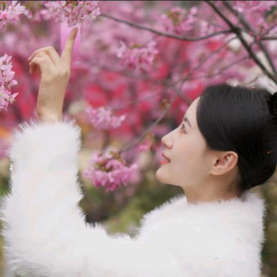舒雅必备