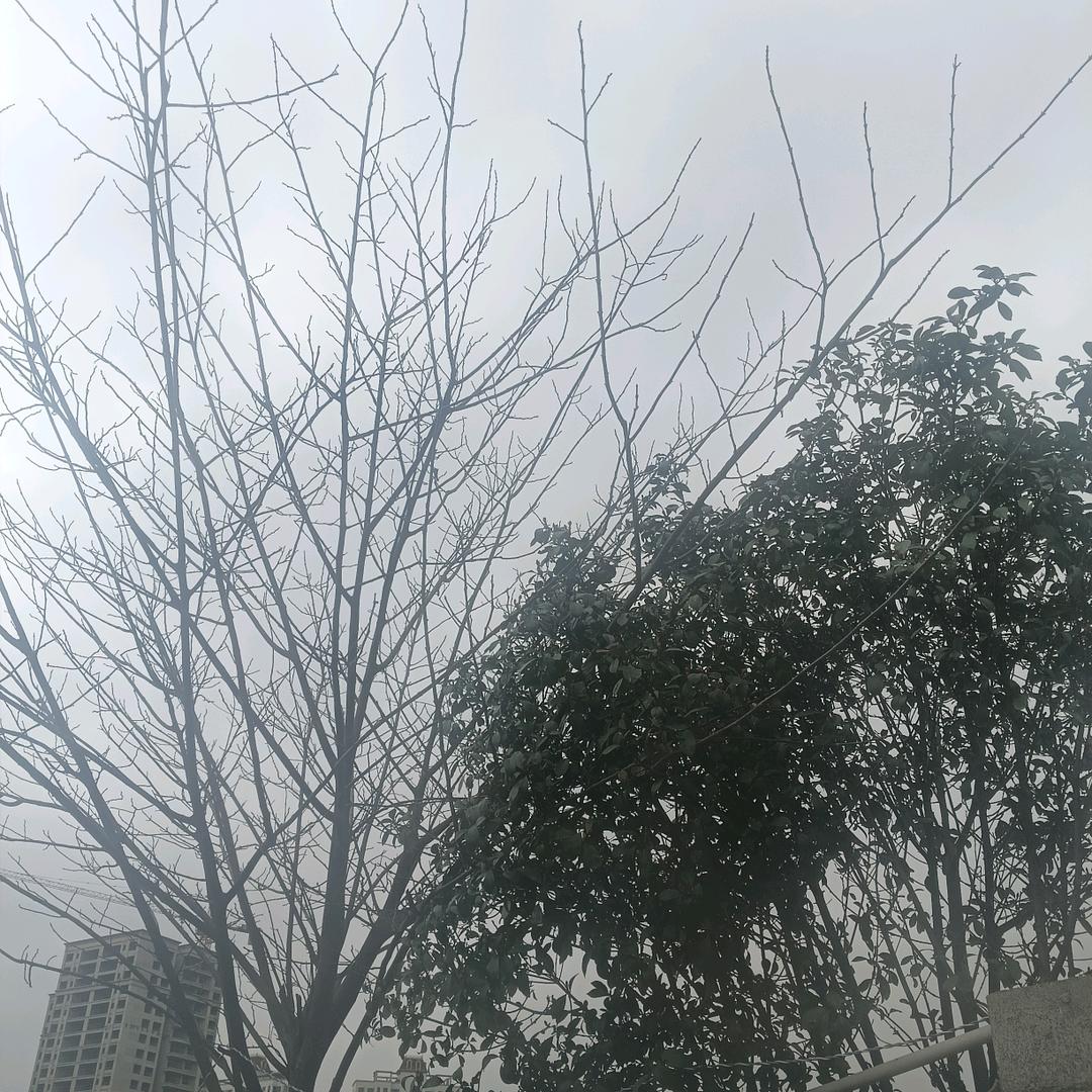 罗继兵