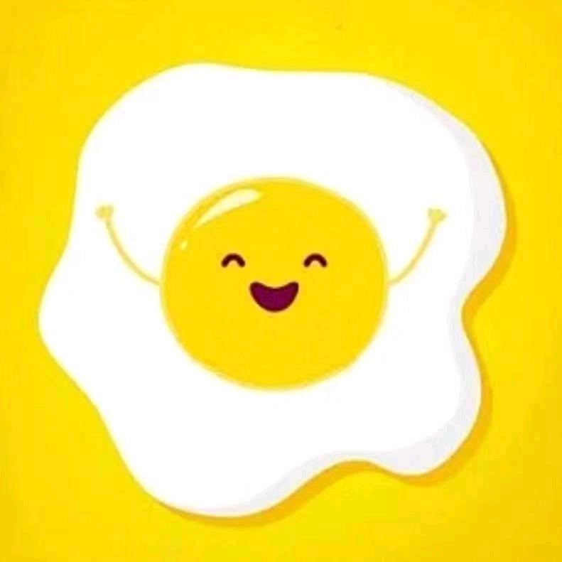 煎蛋君