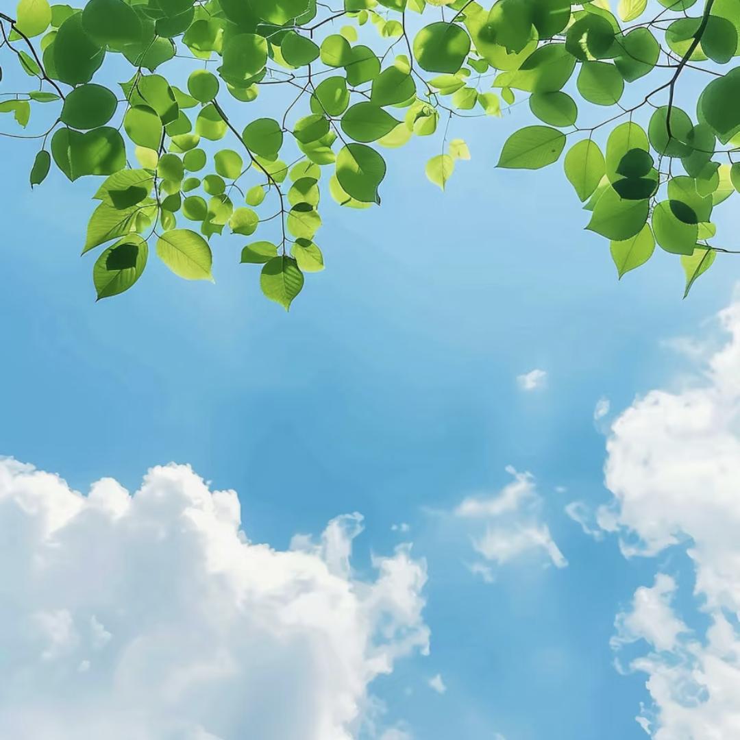 🍃꯭ཽ大静静ꦸ꯭