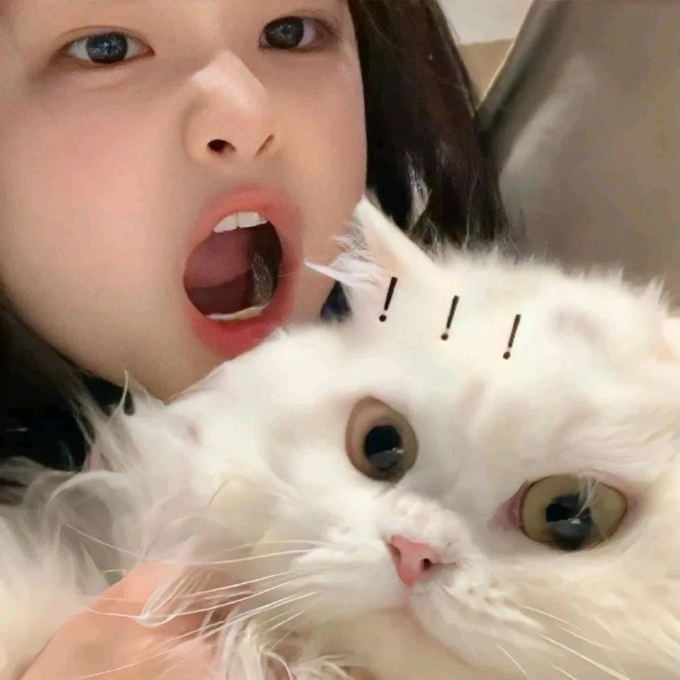᭄ꦿ黑暗蘿莉.℡