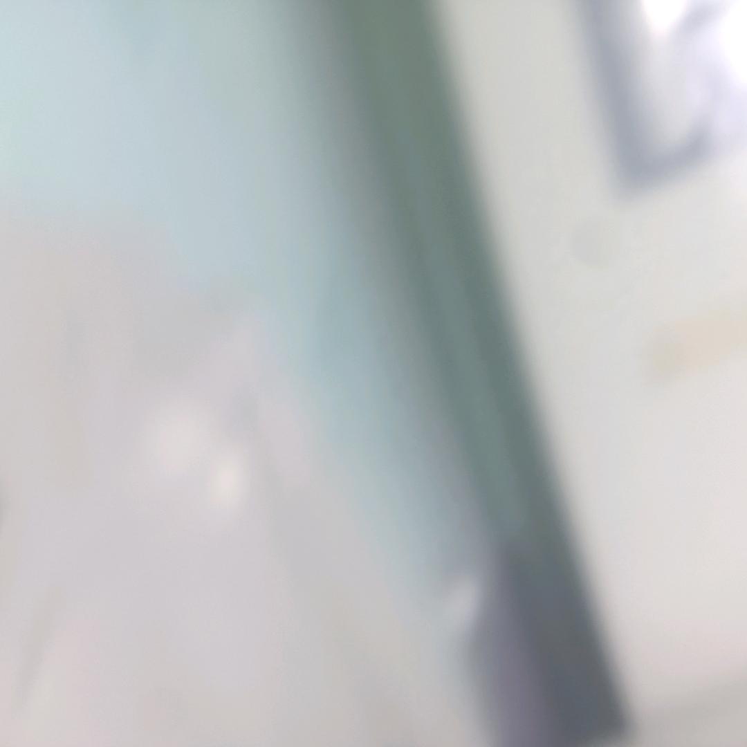 真理。