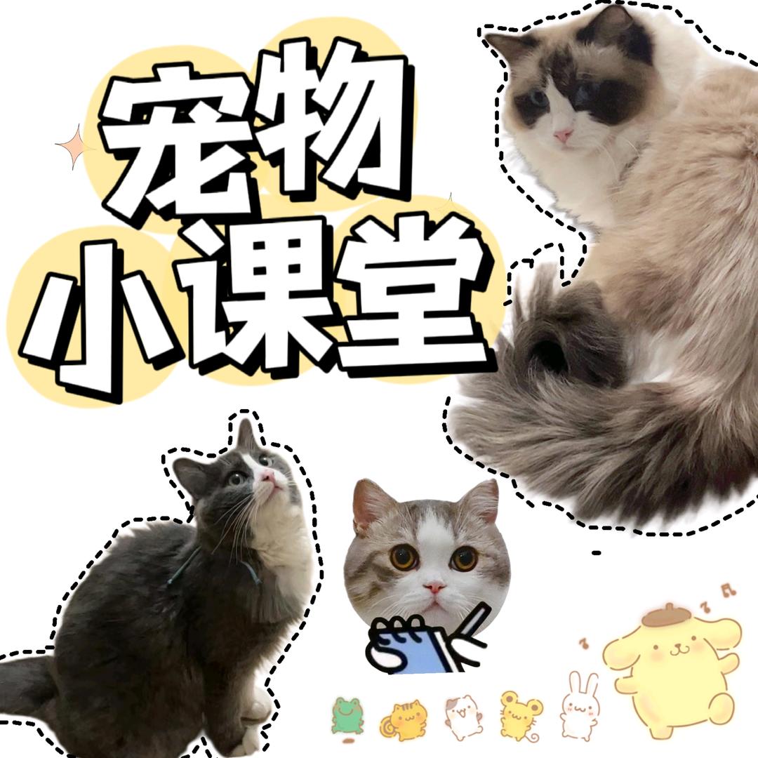 爱宠知识屋