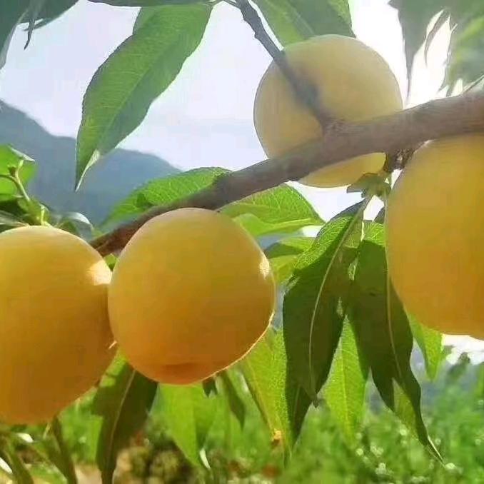 群明五金