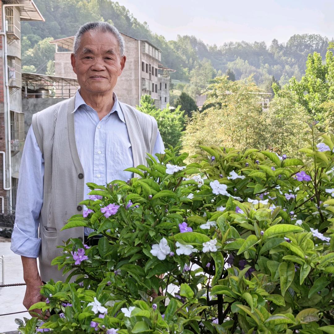 刘延政