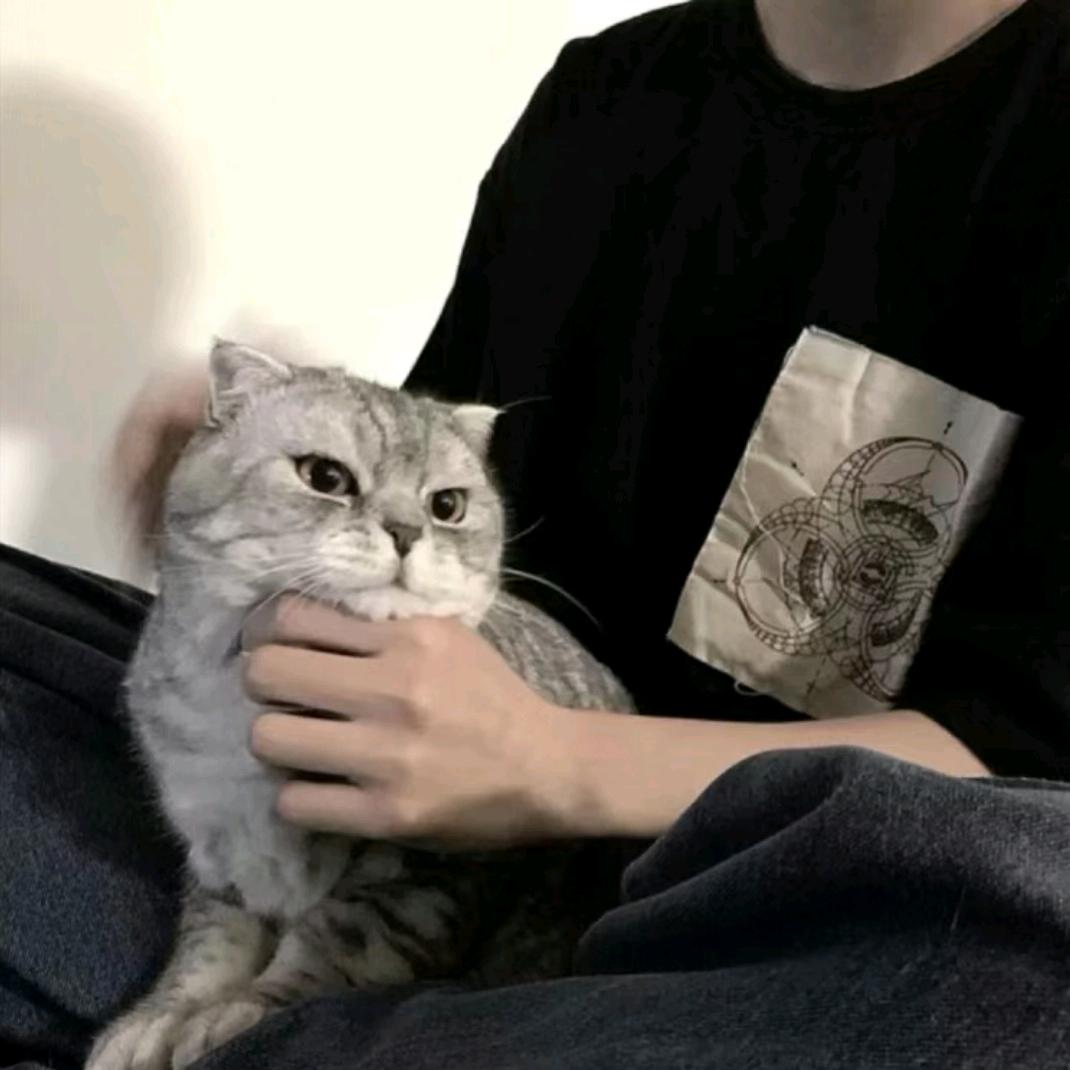 梨窝远点