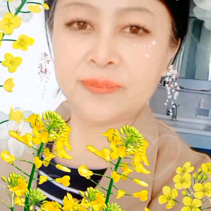 莆公英