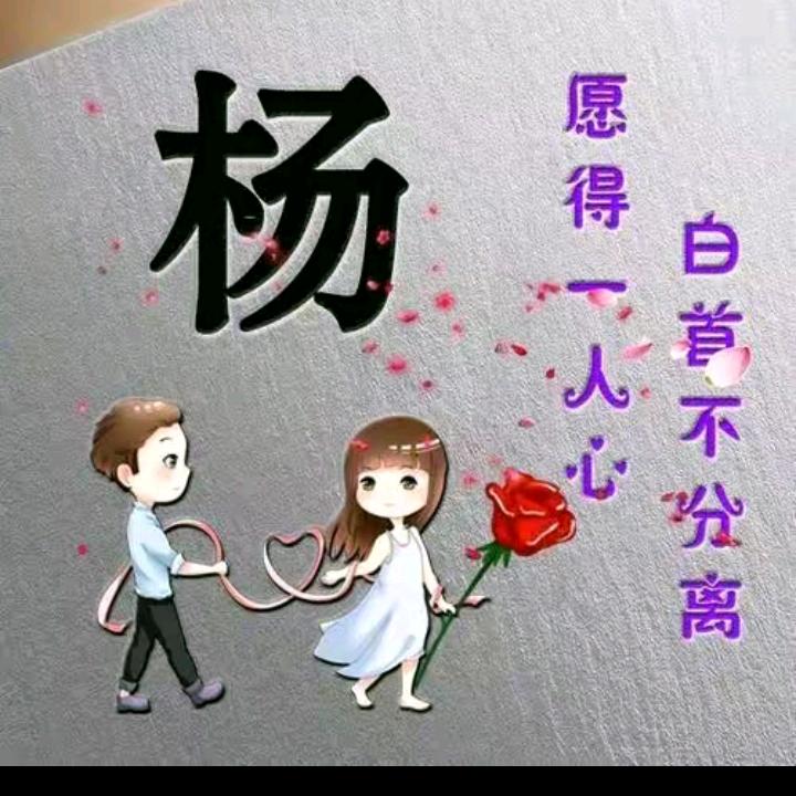 ヅ楊