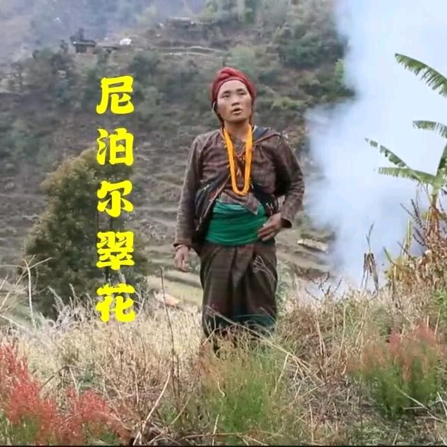 华哥看世界