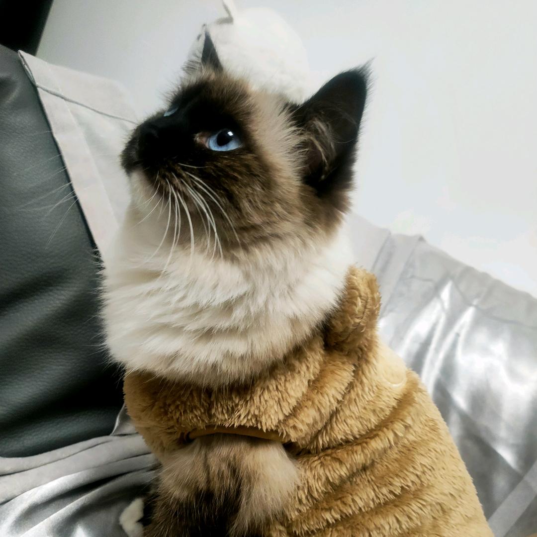 直至以后