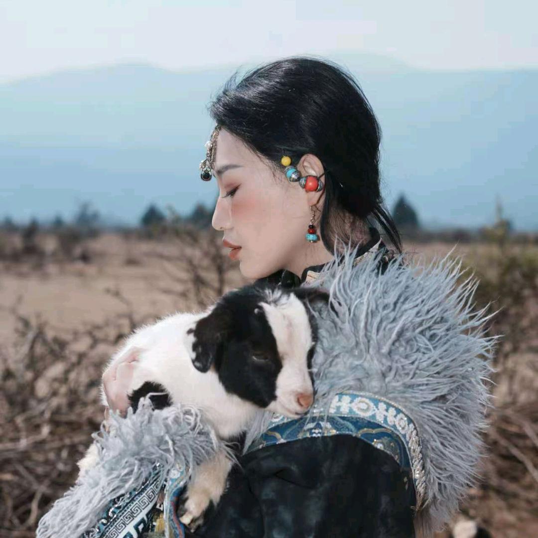 看星星的德萨