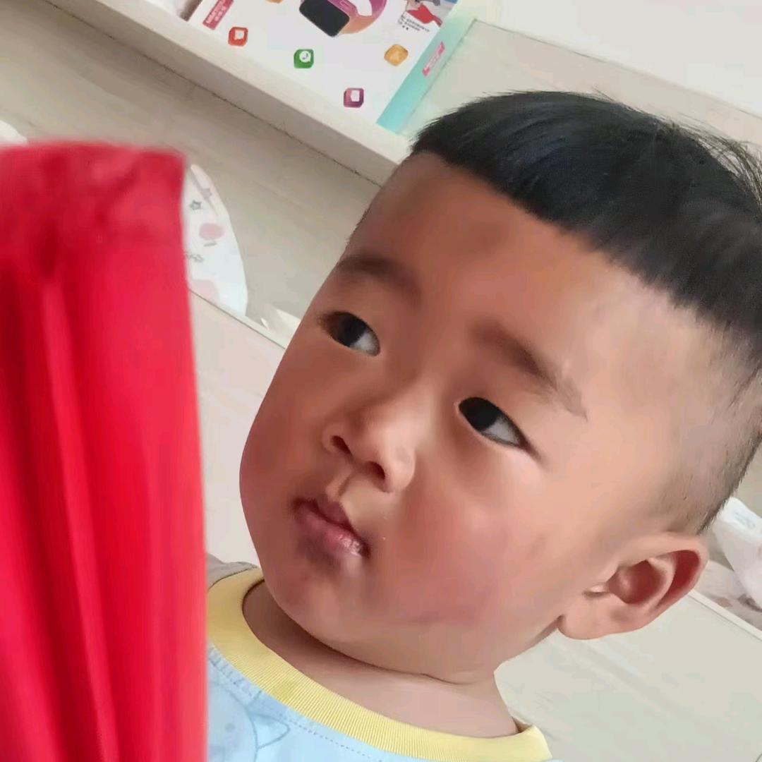 桐宝