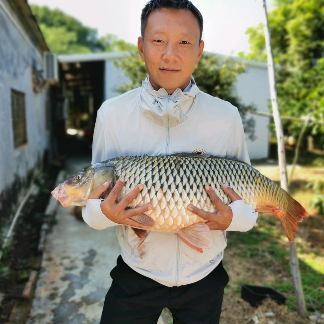辉仔爱钓鱼