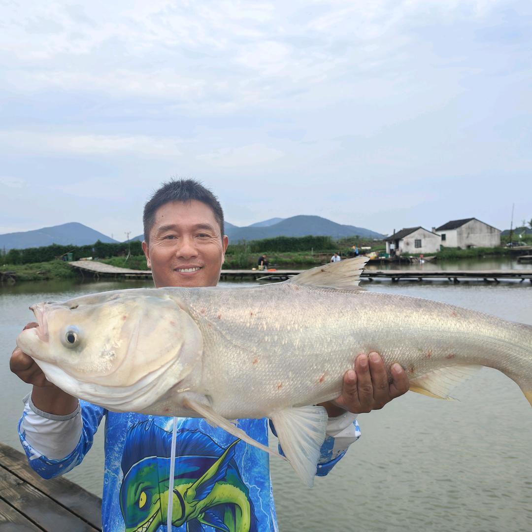 名湖钓鱼（双宝  宝吉来）