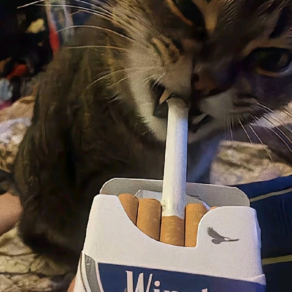 马铃薯头