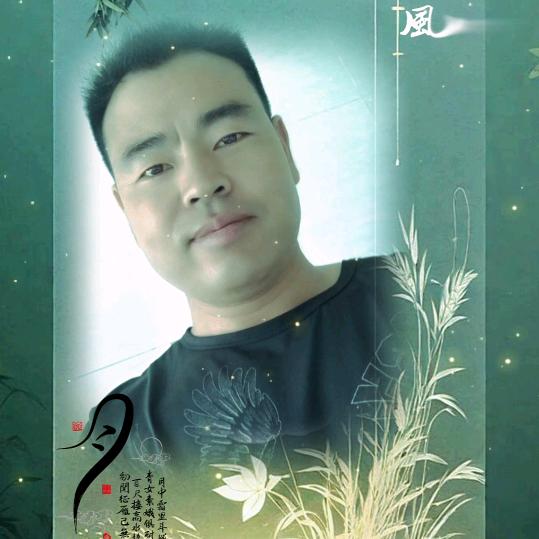 楊哥