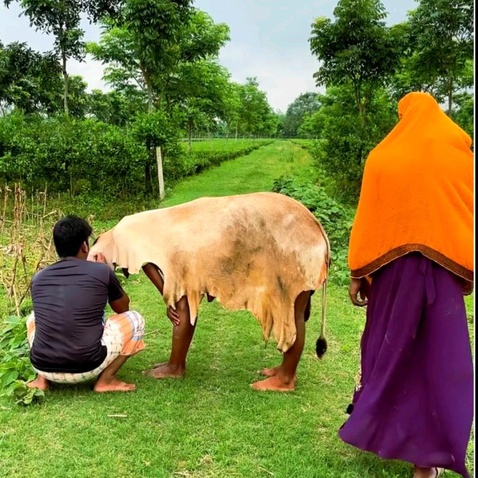 小李人