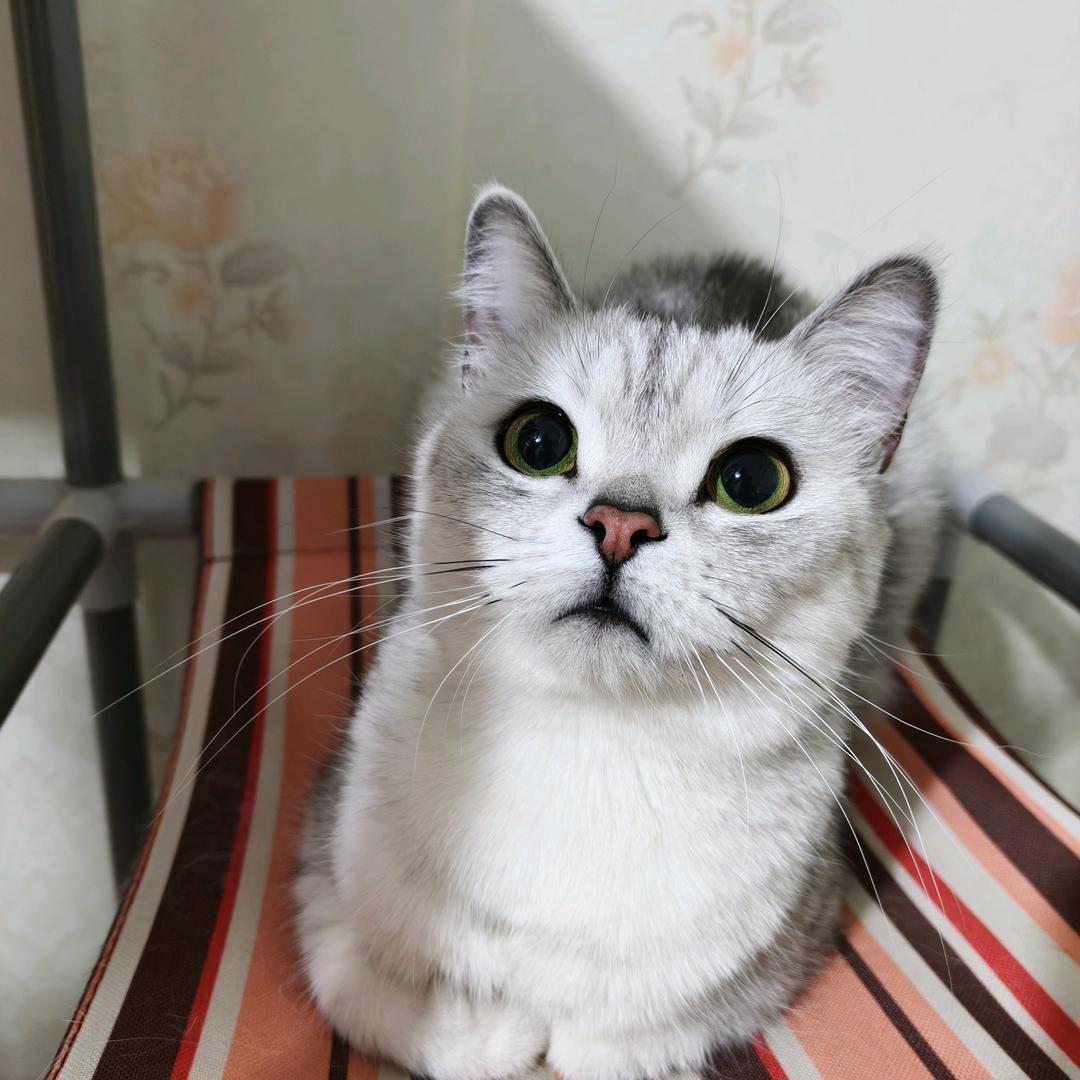 我会开锁