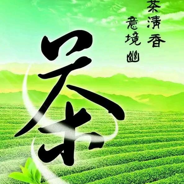 茶之乡茶业