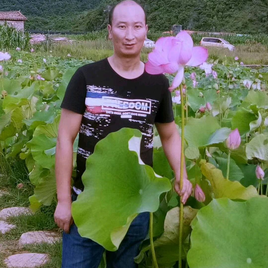“李棋鑫亮”（2025🐍:)