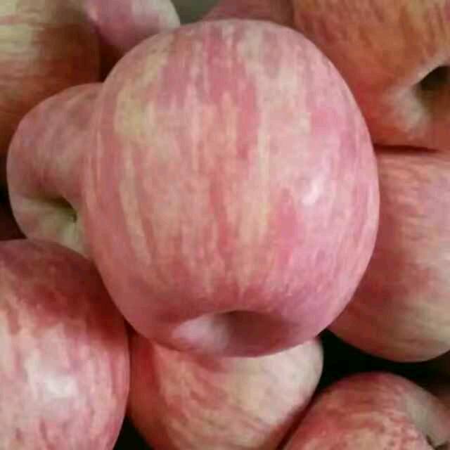 烟台栖霞苹果
