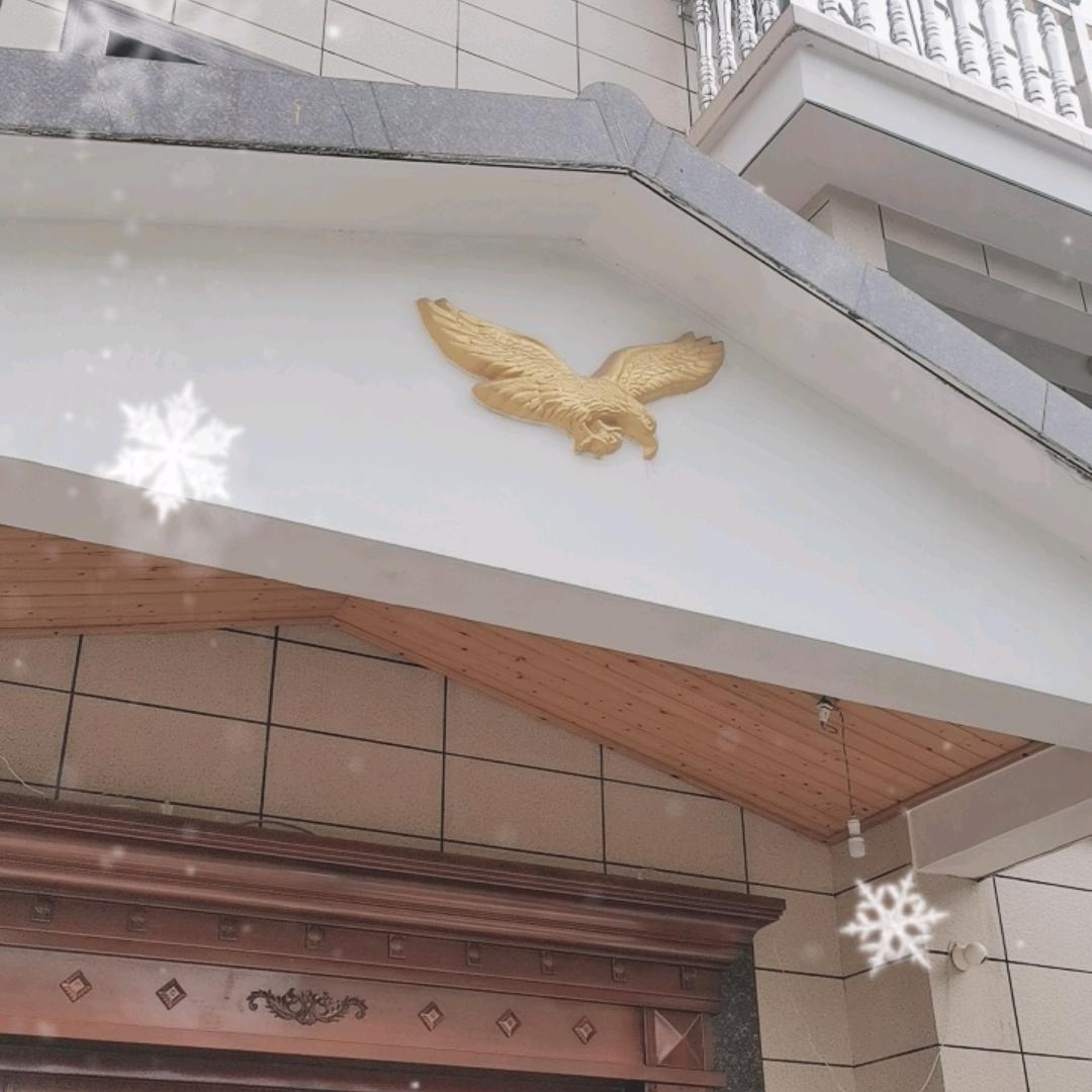 领悟