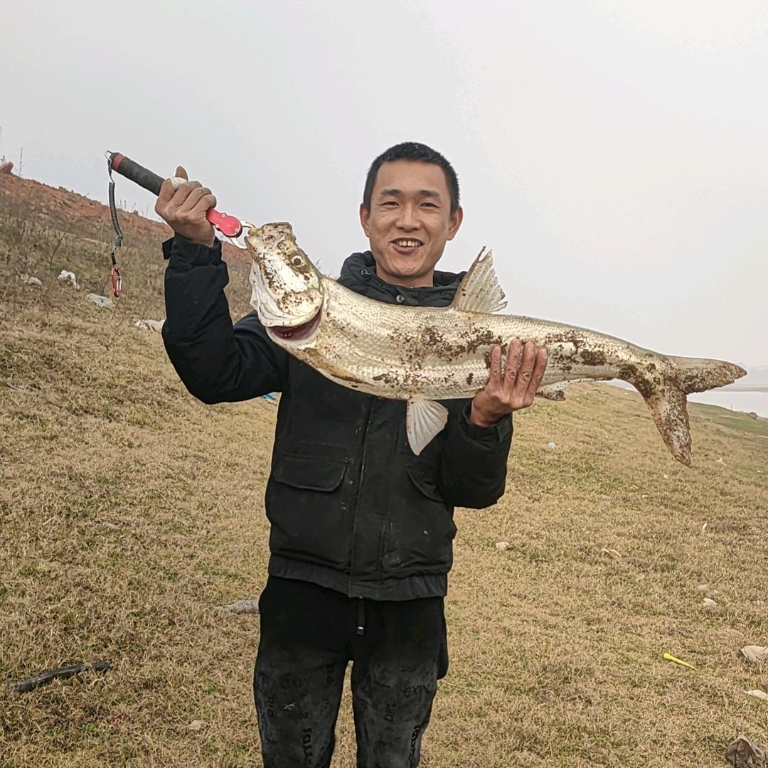 亮几爱钓鱼
