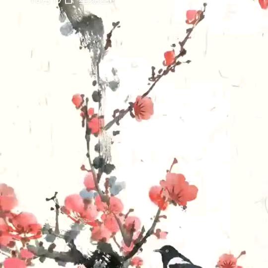 给你一小飞