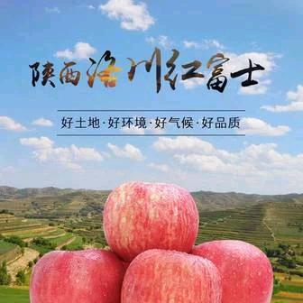 百益华泰果业