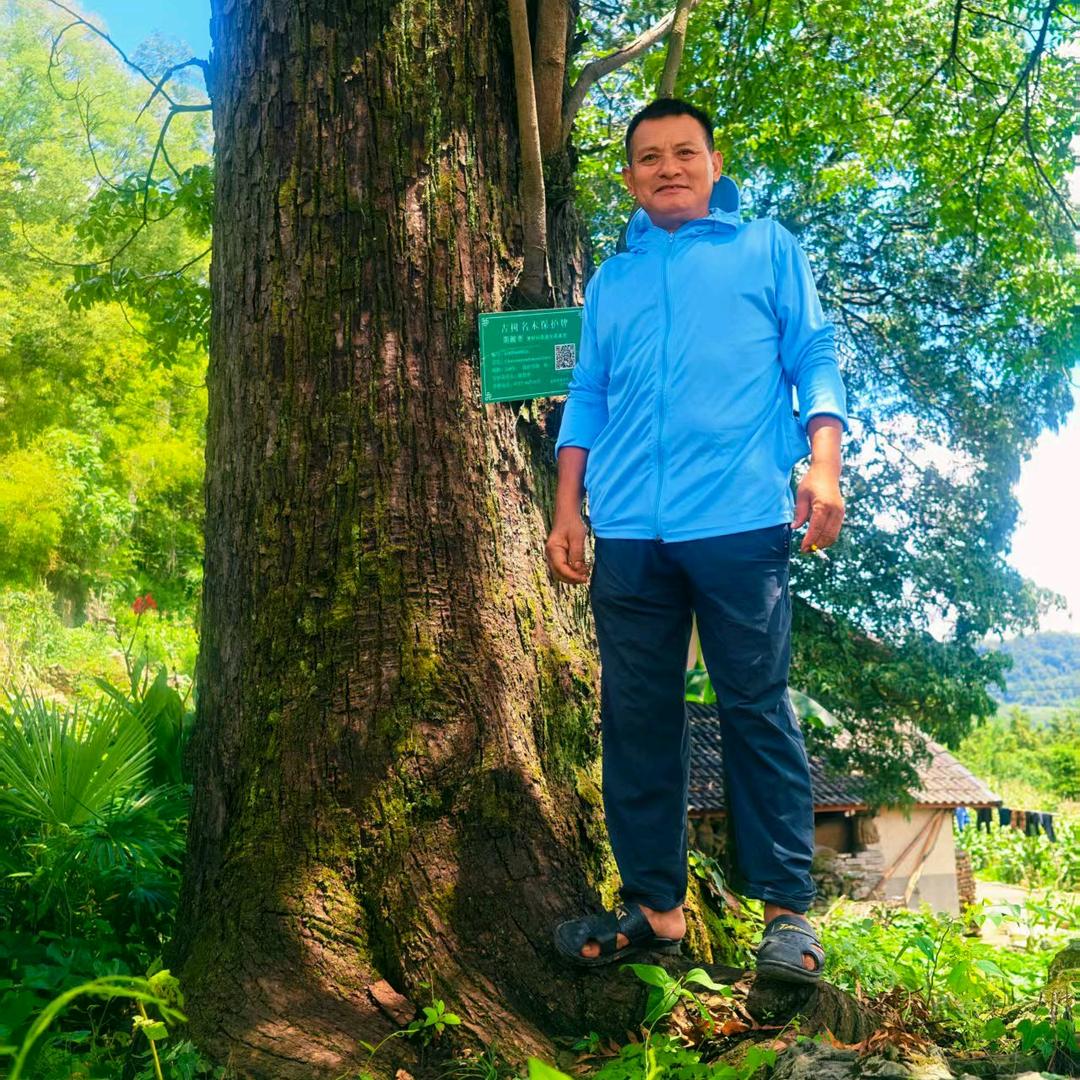 阿元