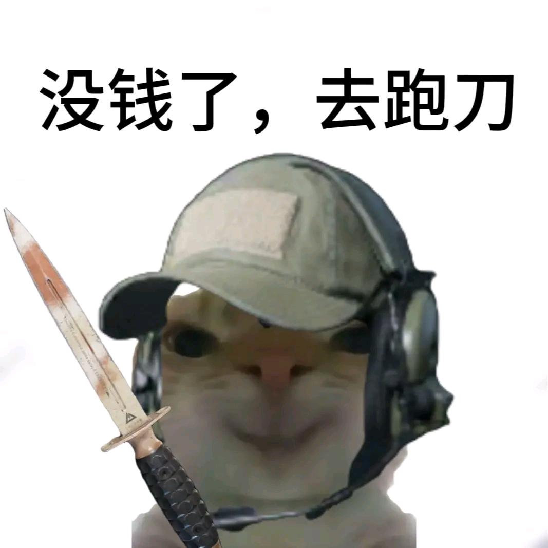 小帅代肝（三角洲行动）