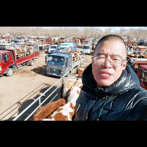 王成牧业肉牛交易市场