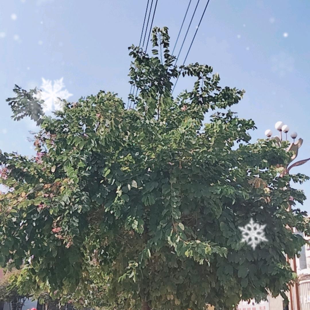 琼琼🌻