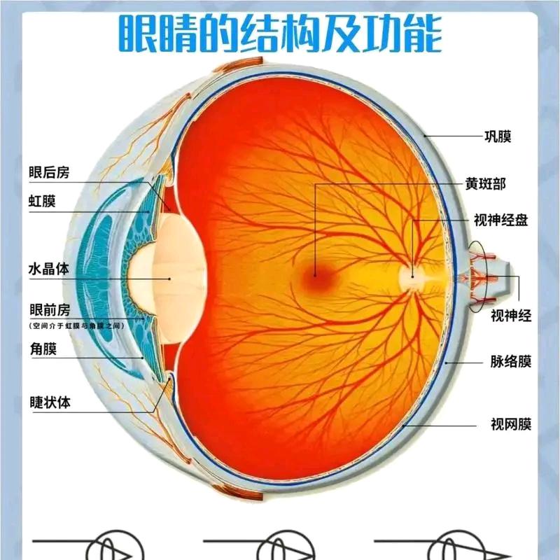 学视光的小朋友