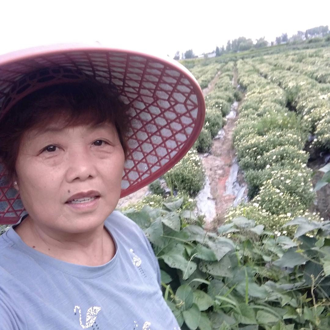 木子奶早上6:30直播
