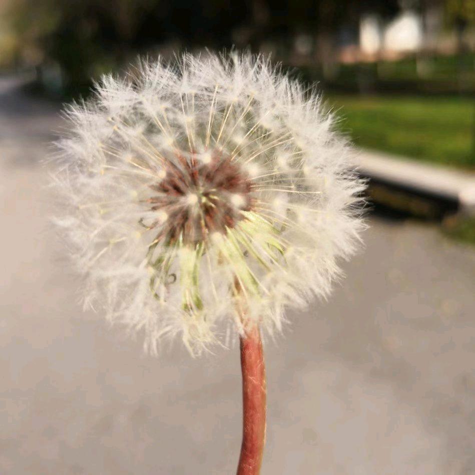 阳光🌞