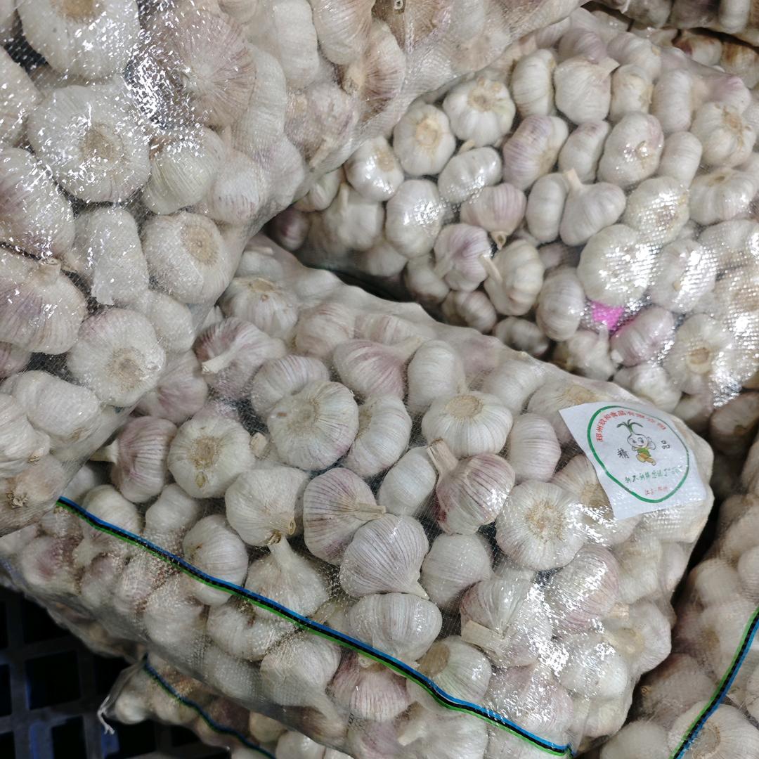 玩家就是玩